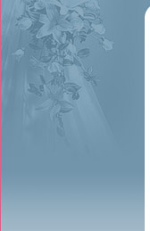 Главная